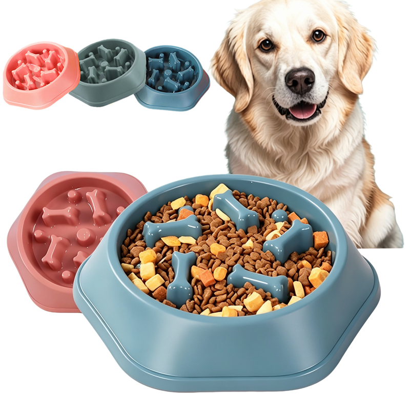 Royal Canin Food Medium - Ciotola per cani con mangiatoia lenta