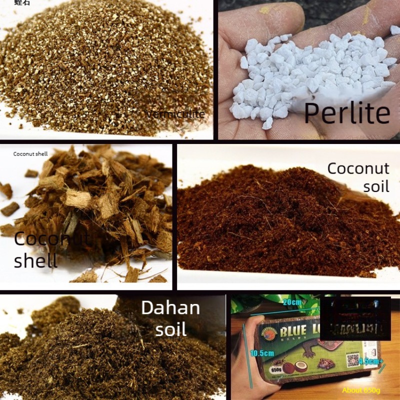 Substrato in Fibra di Cocco pe - Substrate Coconut Fiber recensione e prezzo