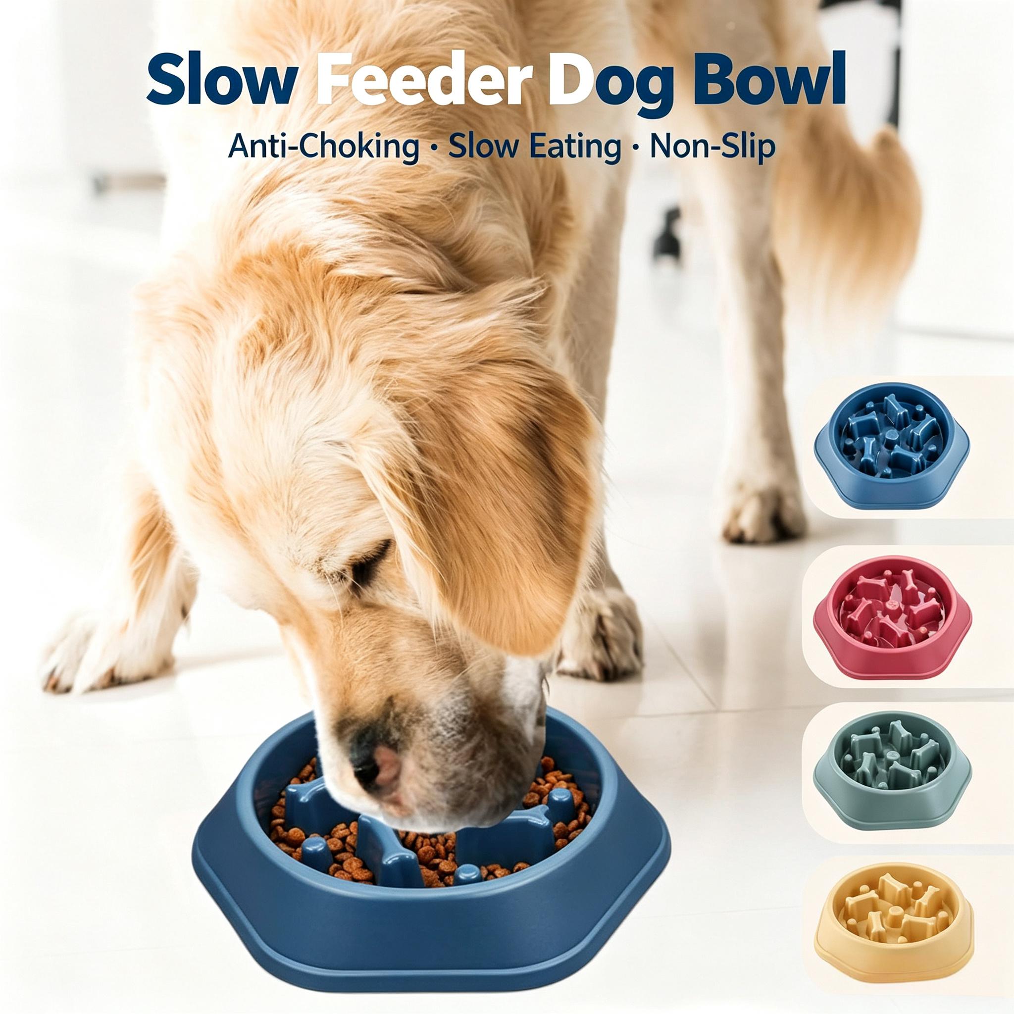 Ciotola per cani con mangiatoi - Royal Canin Food Medium recensione e prezzo