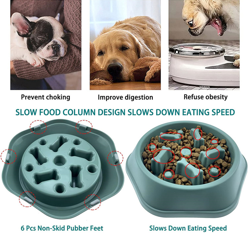 Ciotola per cani con mangiatoi - Royal Canin Food Medium recensione e prezzo