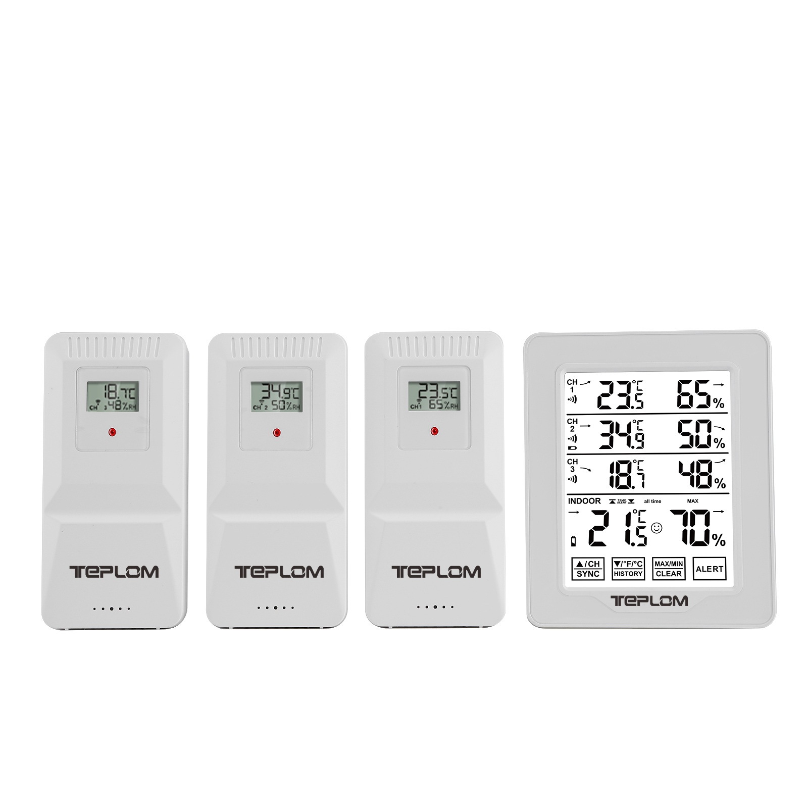 Termometro Igrometro Digitale  - Digital Hygrometer Probe recensione e prezzo
